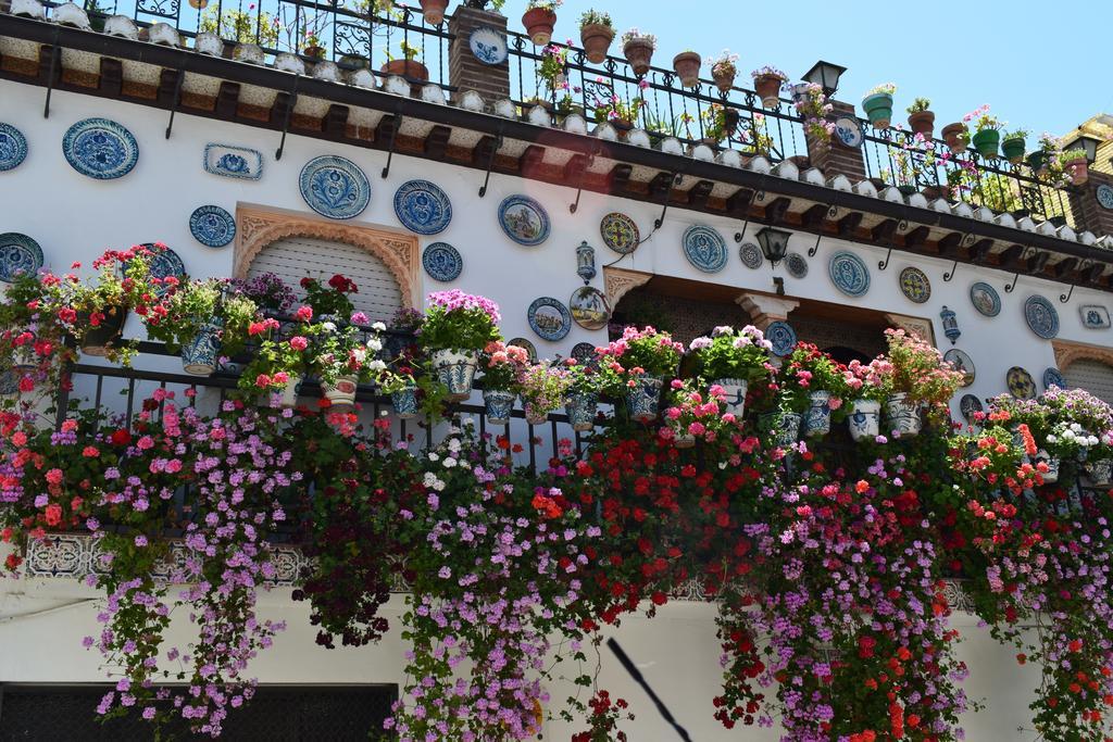 Carmen De Ramilla, Encantadora Guesthouse Con Piscina Soleada Granada Ngoại thất bức ảnh