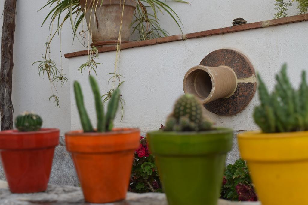 Carmen De Ramilla, Encantadora Guesthouse Con Piscina Soleada Granada Ngoại thất bức ảnh