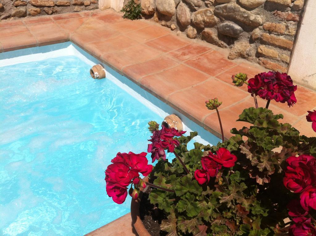 Carmen De Ramilla, Encantadora Guesthouse Con Piscina Soleada Granada Ngoại thất bức ảnh